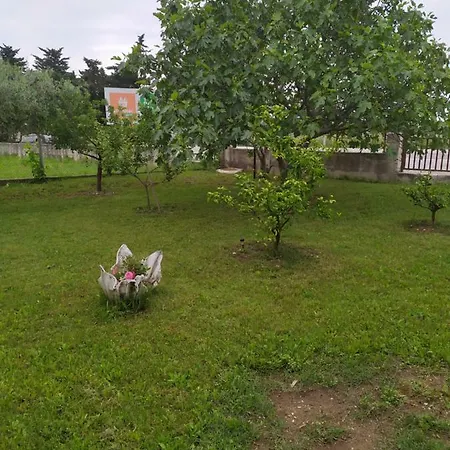 公寓 Apartmant Sucic