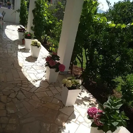 Apartmant Sucic